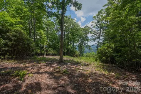 Gated Mountain Acreage Homesite