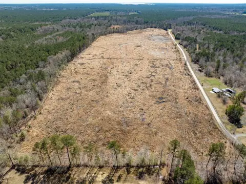 42 Acres of Woodland Cutover