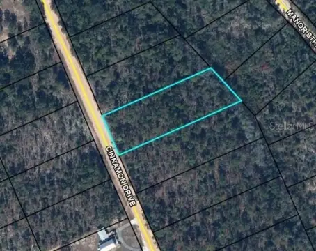 Residential Land Lot in Subdivision