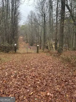 Hampton, GA 7-Acre Land