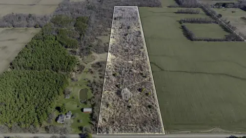 20-Acre Wooded Parcel Near Lexington