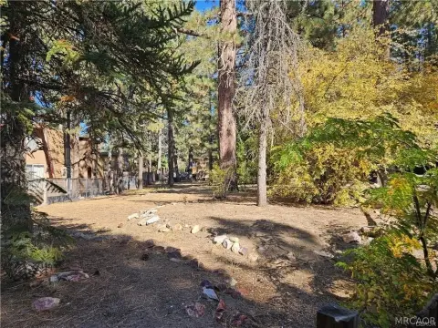 Level Treed Cabin Lot