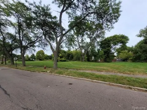 Residential Vacant Land in Detroit