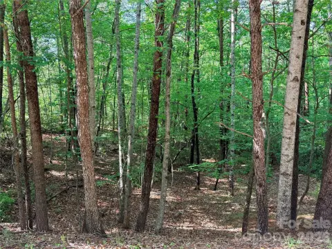 Lake Lure Corner Lot