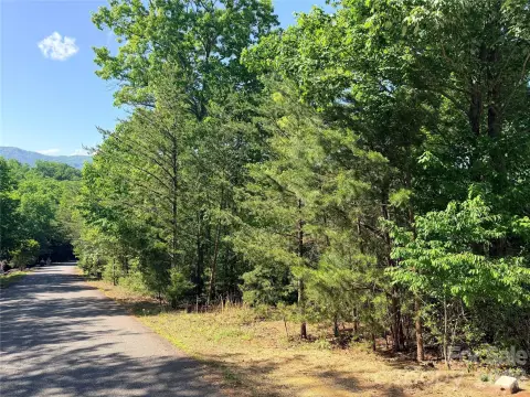 Buildable Lot with Lake View