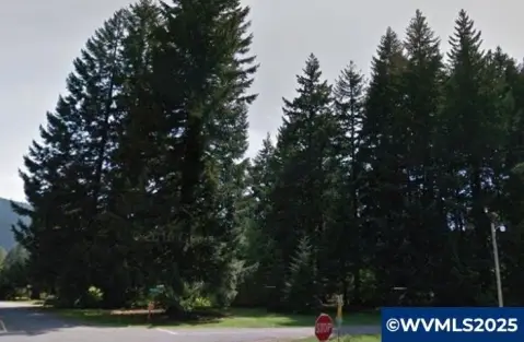 Land Lot in Detroit, OR