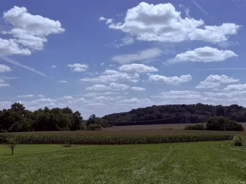Tillable Farmland with Wooded Areas