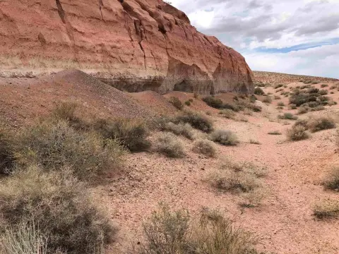 Vast Land with Mountain Views