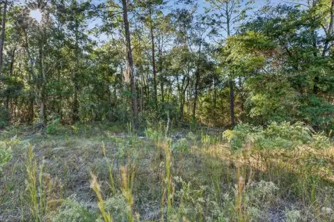 Residential Lot in Interlachen, FL