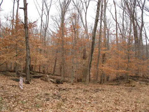 Residential Lots in Painted Hills