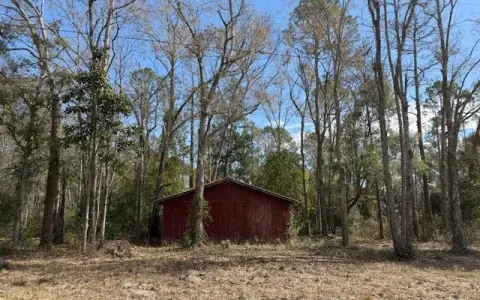 Live Oak Residential Lot