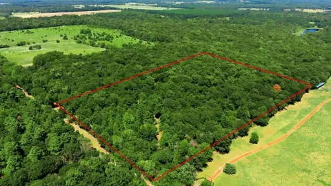Wooded Recreation Land