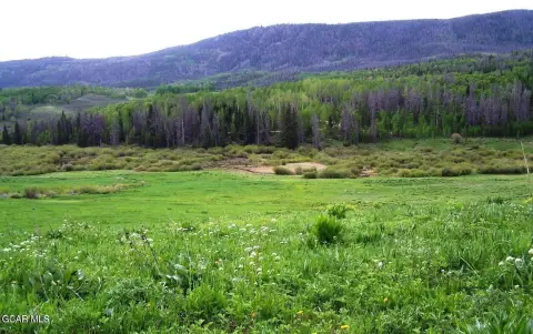 5-Acre Mountain View Land