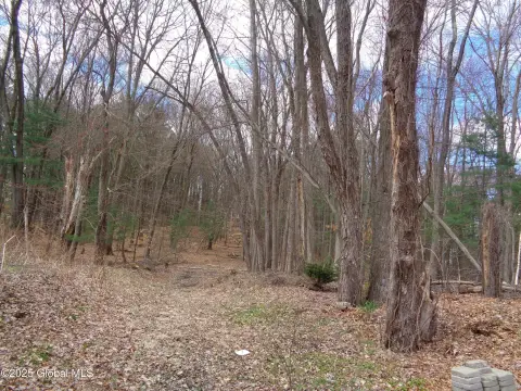 Schenectady Land Package For Sale