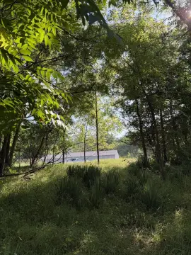 Residential Lot in Hillsdale, MI