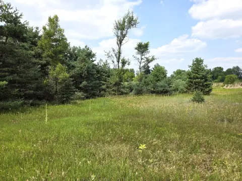 Residential Building Lot with Trees