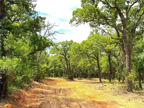 Ag Exempt Ranch Land with Road Frontage
