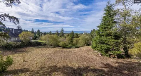 Ocean View Lot in Neskowin
