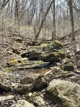 Secluded Wooded Land For Sale