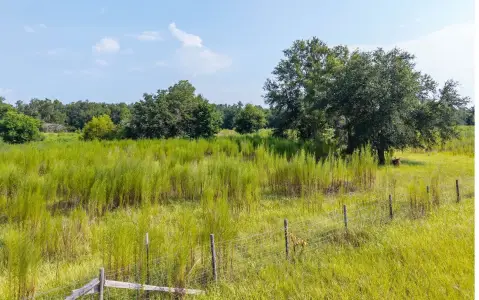 Wooded and Pasture Agricultural Land