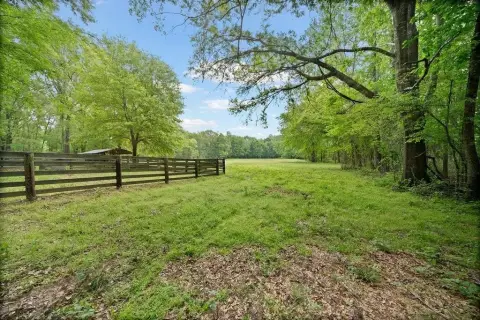 20 Acres of East Texas Land