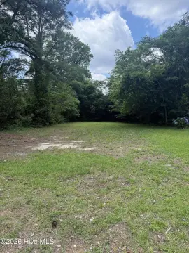 Undeveloped Lot in Kinston, NC