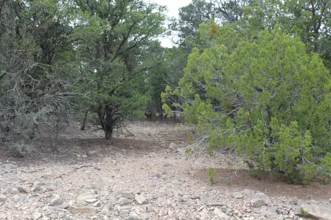 Wooded Land in Tijeras, NM