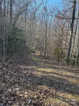 Land in Forest Hills Village