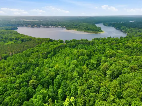 Wooded Recreational Land Parcel