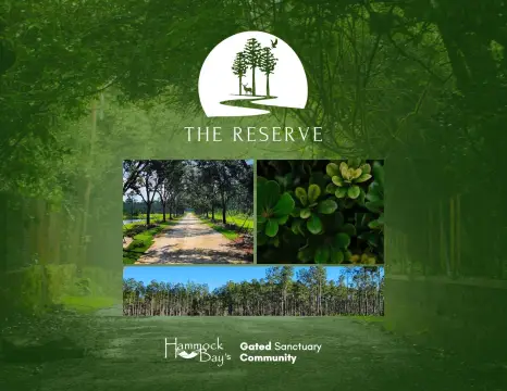 Gated Estate Land Lot