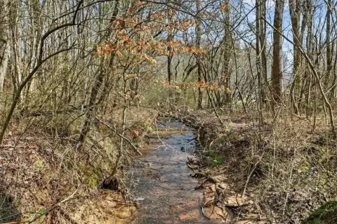 Ellijay Land with Creek