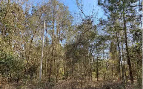 Residential Land With No HOA
