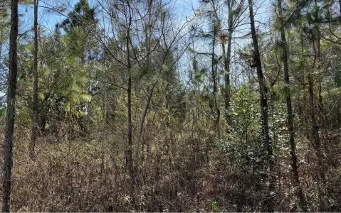Residential Land for Manufactured Homes