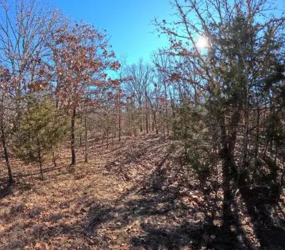 Wooded Corner Lot For Sale