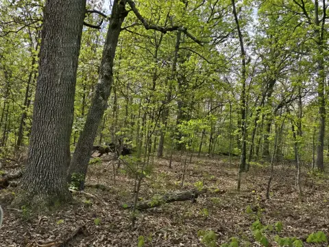 Wooded Corner Lot for Sale