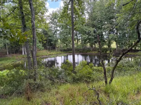 Waterfront Residential Lot with Pond