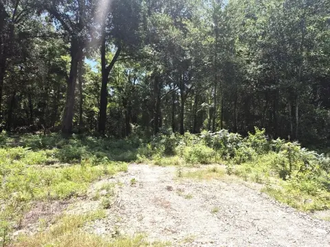 Wooded Country Home Land Parcel