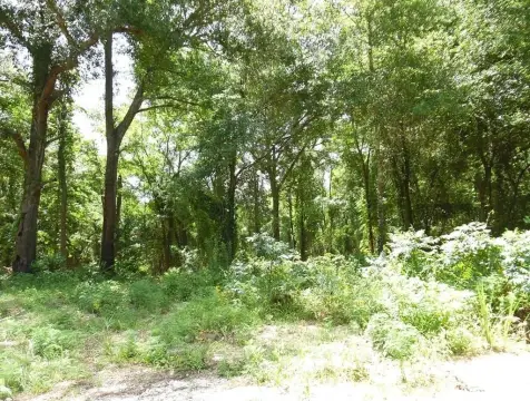 Wooded Country Home Site