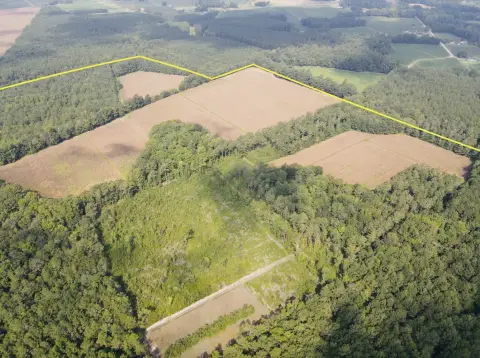 Agricultural Farmland and Timber Tract