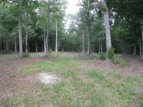 Riverfront Hunting Land