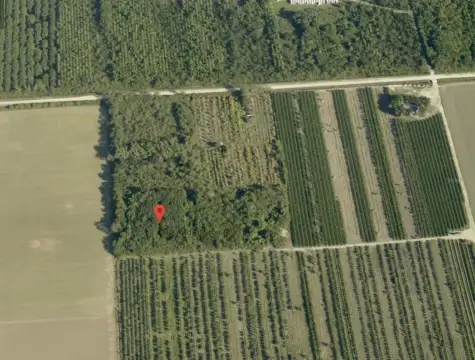 Agricultural Land