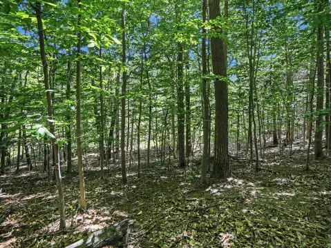 Custom Home Buildable Lot