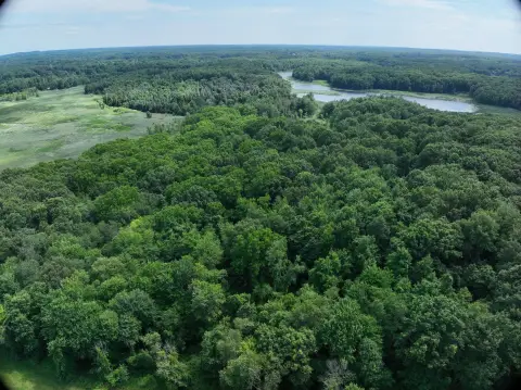 Heavily Wooded Hunting Tract