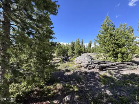 Grand Lake Treed Acreage