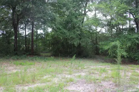 Mobile-Home Friendly Homesite