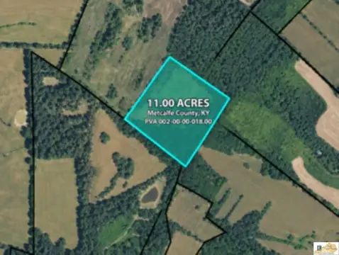 Wooded Hunting Land