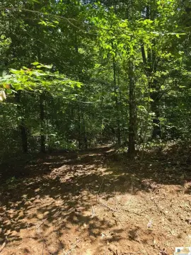 Hunting Land with Creek