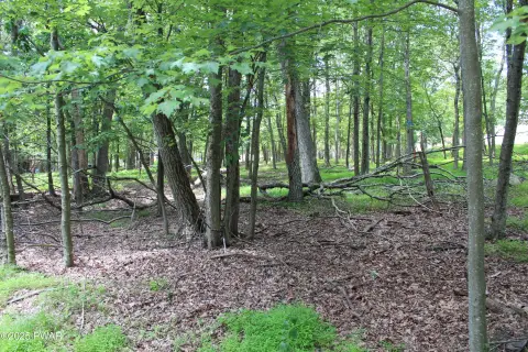 Residential Lot in Amenity-Rich Community