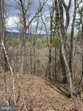 Residential Land in Basye, Virginia
