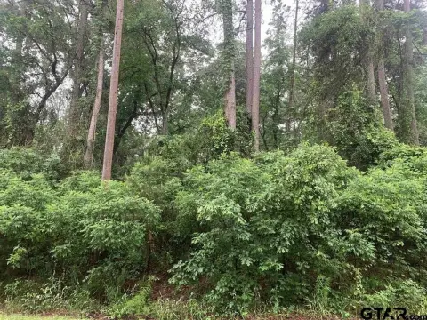 Scroggins, TX Buildable Lot